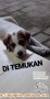 DITEMUKAN