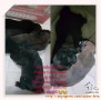 Need Adoper