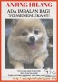 Anjing Hilang Di Pluit Jakarta Utara