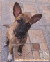Need adopter