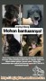 Anjing hilang pada tanggal 6 januari 2020