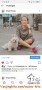 Dicari yang bisa adopsi shihtzu 3 tahun