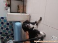 Open Adopt Free