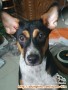 SELLY PAPER NEED A NEW LOVE AND HOME. PLEASE ADOPT US!