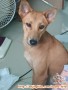 PAPER NEED A NEW LOVE AND HOME. PLEASE ADOPT US!