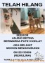 ANJING HILANG AREA BANDAR LAMPUNG