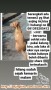 ANJING HILANG AREA SOLO