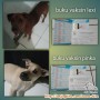 DICARI ADOPTER TERBAIK