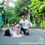 Lowongan untuk Kennel Boy