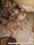 -OPEN ADOPSI-