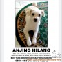 ANJING HILANG DAERAH DURI KEPA
