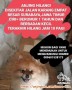 Anjing hilang