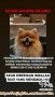 DI CARI ANJING HILANG!(dgn imbalan)