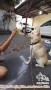need adopter sementara