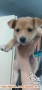 OPEN ADOPT