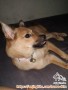 Open adopt/hibah