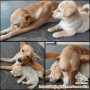 Open adopsi anjing jantan dan anak perempuannya