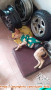 Hibah Anjing Mix Ras Kintamani