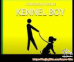 Dicari Kennel Boy