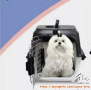 Loker Kennel Boy atau Kennel Girl