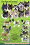 Cari Kennel Boy Utk Di Bandung
