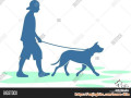 Mencari Kennel Boy