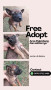 Free adopsi